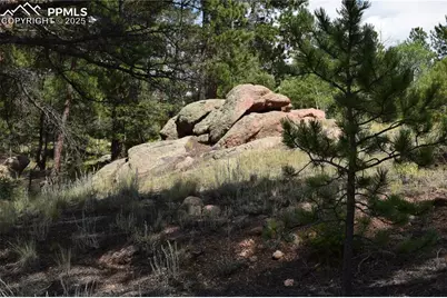 93 Kiowa Creek Trail, Florissant, CO 80816 - Photo 3