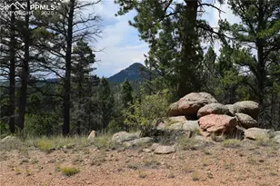 93 Kiowa Creek Trail, Florissant, CO 80816 - Photo 1