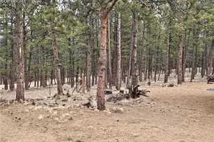 480 Blue Mountain Dr, Florissant, CO 80816 - Photo 3