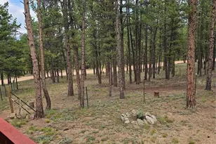 480 Blue Mountain Dr, Florissant, CO 80816 - Photo 17