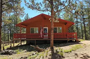 480 Blue Mountain Dr, Florissant, CO 80816 - Photo 15