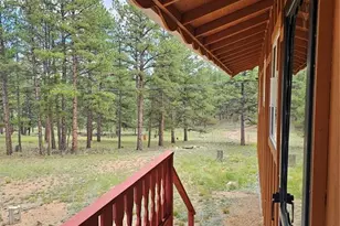 480 Blue Mountain Dr, Florissant, CO 80816 - Photo 13