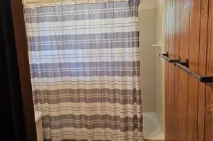 480 Blue Mountain Dr, Florissant, CO 80816 - Photo 11