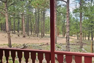 480 Blue Mountain Dr, Florissant, CO 80816 - Photo 15