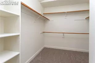 3313 Sand Flower Dr, Colorado Springs, CO 80920 - Photo 27