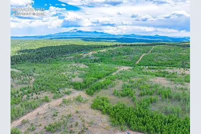 Unit 2 County Road 51, Florissant, CO 80816 - Photo 15