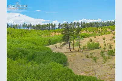 Unit 2 County Road 51, Florissant, CO 80816 - Photo 39