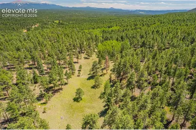 Unit 2 County Road 51, Florissant, CO 80816 - Photo 13