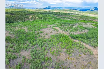 Unit 2 County Road 51, Florissant, CO 80816 - Photo 5