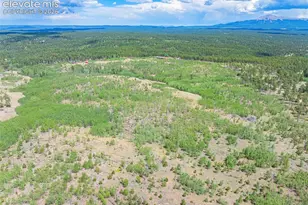 Unit 2 County Road 51, Florissant, CO 80816 - Photo 1