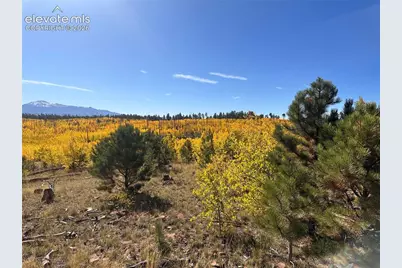 Unit 2 County Road 51, Florissant, CO 80816 - Photo 19