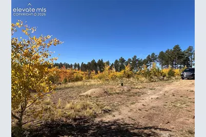 Unit 2 County Road 51, Florissant, CO 80816 - Photo 7