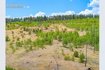 Unit 2 County Road 51, Florissant, CO 80816 - Photo 25