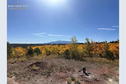 Unit 2 County Road 51, Florissant, CO 80816 - Photo 3