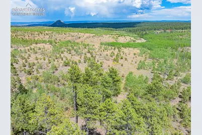 Unit 2 County Road 51, Florissant, CO 80816 - Photo 35