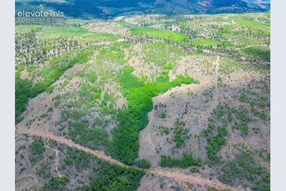 Unit 2 County Road 51, Florissant, CO 80816 - Photo 21