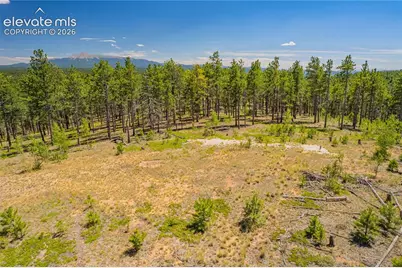 Unit 2 County Road 51, Florissant, CO 80816 - Photo 47