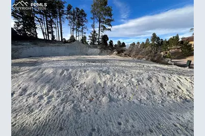 19942 Chisholm Trail, Monument, CO 80132 - Photo 11