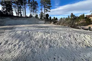 19942 Chisholm Trail, Monument, CO 80132 - Photo 11