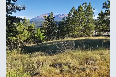 249 E Lake Avenue, Woodland Park, CO 80863 - Photo 23