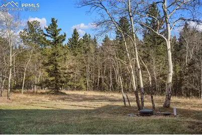 310 Ridge Road, Divide, CO 80814 - Photo 31