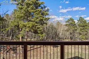 310 Co Rd 511, Divide, CO 80814 - Photo 13