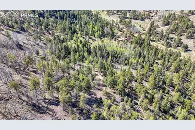 56 Fir Lane, Florissant, CO 80816 - Photo 35
