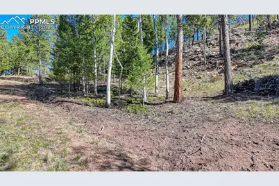 56 Fir Lane, Florissant, CO 80816 - Photo 27