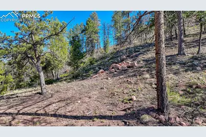 56 Fir Lane, Florissant, CO 80816 - Photo 29