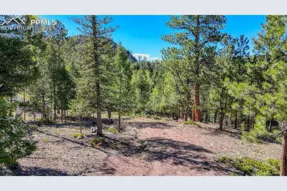 56 Fir Lane, Florissant, CO 80816 - Photo 3