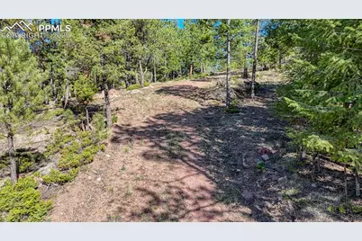 56 Fir Lane, Florissant, CO 80816 - Photo 33