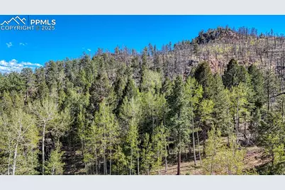 56 Fir Lane, Florissant, CO 80816 - Photo 23