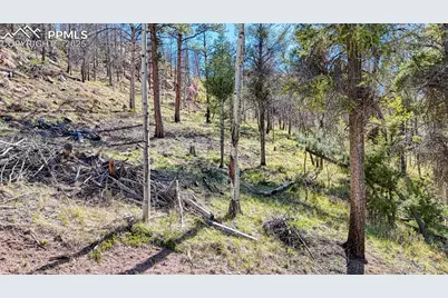 56 Fir Lane, Florissant, CO 80816 - Photo 25