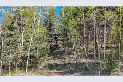56 Fir Lane, Florissant, CO 80816 - Photo 21