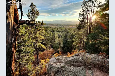 4450 Walker Ridge View, Colorado Springs, CO 80908 - Photo 5