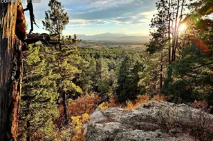 4450 Walker Ridge VW, Colorado Springs, CO 80908 - Photo 5