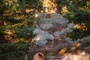 4450 Walker Ridge VW, Colorado Springs, CO 80908 - Photo 45