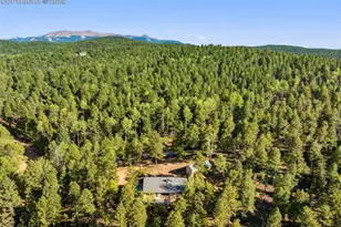 399 Saguache Dr, Florissant, CO 80816 - Photo 35