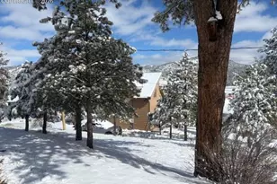 28 Signalman Ln, Lake George, CO 80827 - Photo 41