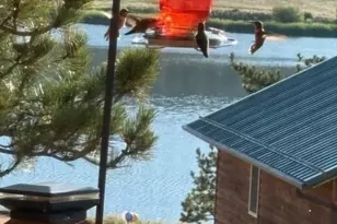 28 Signalman Ln, Lake George, CO 80827 - Photo 45