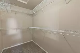667 Hailey Glenn View, Colorado Springs, CO 80916 - Photo 27