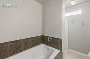667 Hailey Glenn View, Colorado Springs, CO 80916 - Photo 29