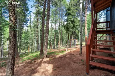 57 Aspen Circle, Divide, CO 80814 - Photo 37