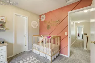 2087 Hibbard Ln, Fountain, CO 80817 - Photo 37