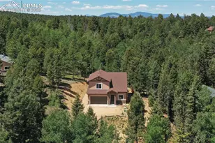 71 Mt Elbert Dr, Florissant, CO 80816 - Photo 5
