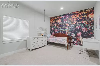5839 Yancey Drive, Colorado Springs, CO 80924 - Photo 25