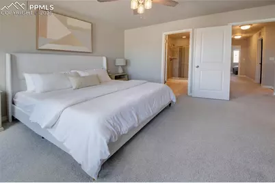 6069 Inman View, Colorado Springs, CO 80924 - Photo 21