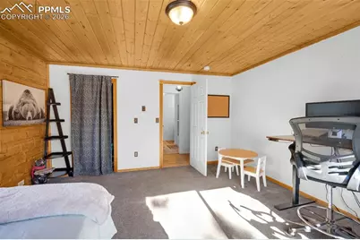 1276 Pinewood Road, Florissant, CO 80816 - Photo 11