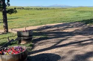 6597 S Hwy 83, Franktown, CO 80116 - Photo 43