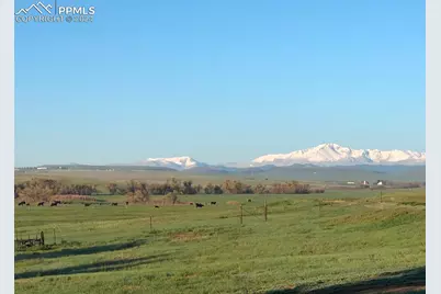 6597 S Highway 83, Franktown, CO 80116 - Photo 13